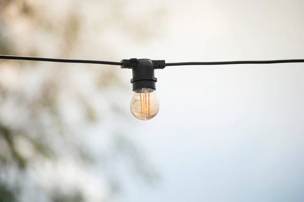 outdoor lighting bulb. a lamp on a wire. many lamps on a wire on a summer terrace in a cafe