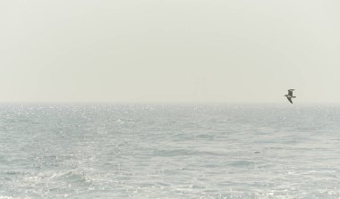 Sisteki deniz. Ufuk çizgisi, siste çözülüyor. Sis içindeki İrlanda denizi. Sisli hava 