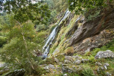 Powerscourt Şelalesi 'nin görkemli şelalesi, İrlanda' nın en yüksek şelalesi. Wicklow, İrlanda 'daki ünlü turistik merkezler.