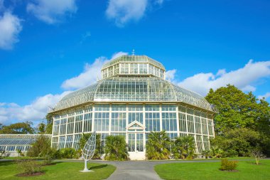 Dublin, İrlanda - 10.20.2021: Great Palm House - Glasnevin, Dublin, İrlanda 'daki Ulusal Botanik Bahçesindeki Sera