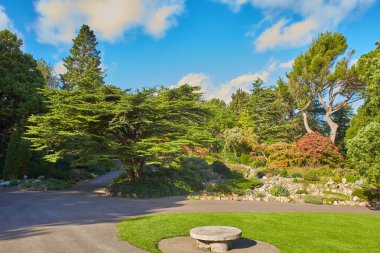 Wicklow, İrlanda 'daki Avoca Bahçesi' nin peyzajı..