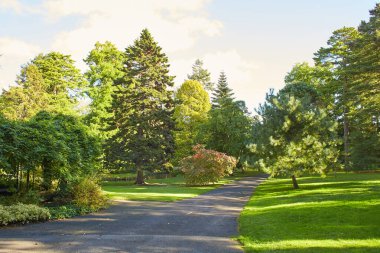 Wicklow, İrlanda 'daki Avoca Bahçesi' nin peyzajı..