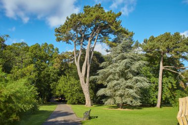 Wicklow, İrlanda 'daki Avoca Bahçesi' nin peyzajı..