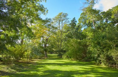 Wicklow, İrlanda 'daki Avoca Bahçesi' nin peyzajı..