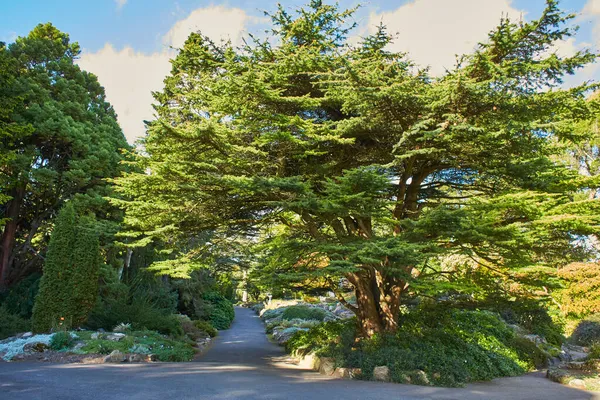 Jardín Ajardinado Avoca Garden Condado Wicklow Irlanda — Foto de Stock