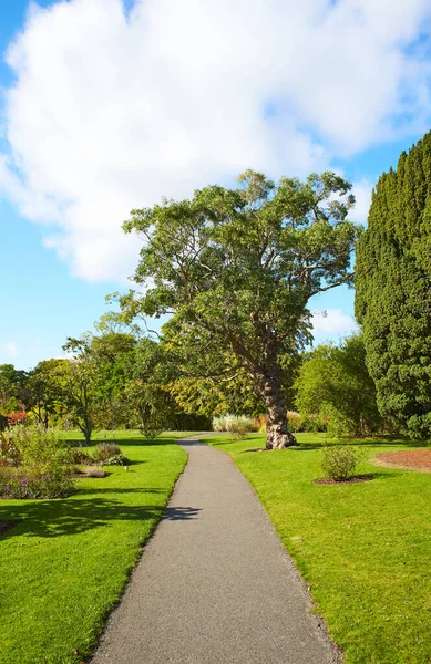 Jardín Ajardinado Avoca Garden Condado Wicklow Irlanda — Foto de Stock