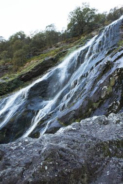 Powerscourt Şelalesi 'nin görkemli şelalesi, İrlanda' nın en yüksek şelalesi. Wicklow, İrlanda 'daki ünlü turistik merkezler.