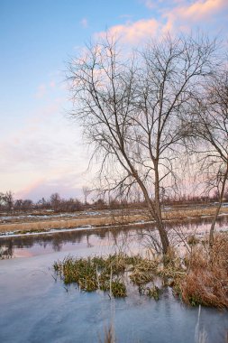 Kışın huş ağacı ve donmuş nehirle güzel doğal manzara.