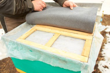 Ballı bal peteği üzerindeki arı, nektarı hücrelere ayırır. Kovanın çerçevesindeki bir arı makro görüntüsü. Arılar bal peteğinde. Kış zamanı