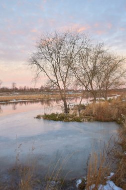 Kışın huş ağacı ve donmuş nehirle güzel doğal manzara.