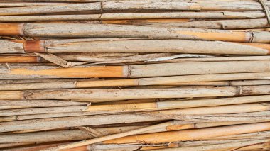 Arkaplan için kuru kamış dokusu