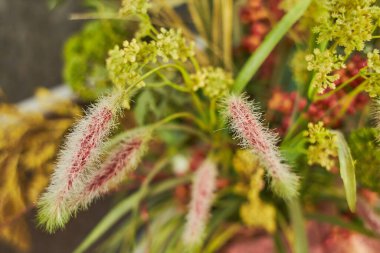 Kapat - iç dekorasyon için suni yabani çiçeklerin ayrıntıları.