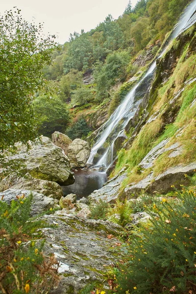 アイルランドで最も高い滝 パワスト滝の壮大な水のカスケード アイルランド共和国ウィックローの有名な観光地 — ストック写真
