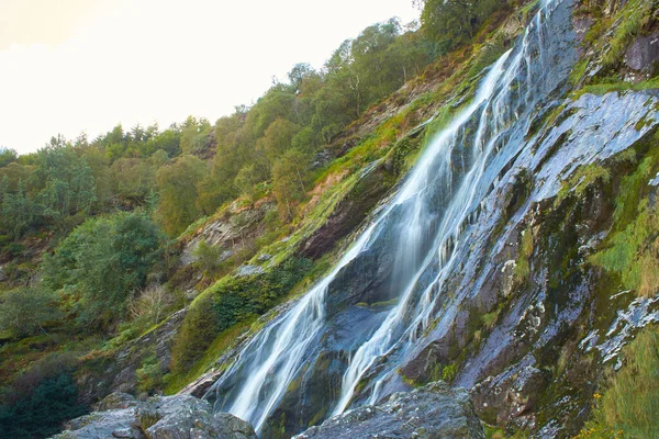 Majestuosa Cascada Agua Cascada Powerscourt Cascada Más Alta Irlanda Atracciones — Foto de Stock