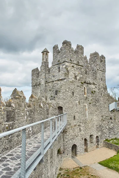 Kılıç Kalesi, Dublin, İrlanda 'da bulunan tarihi bir binadır. Seyahat yeri simgesi.