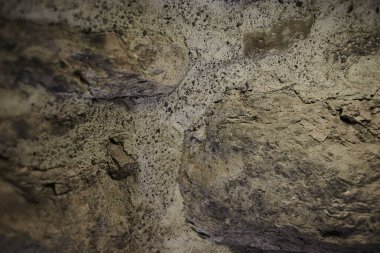 Beyaz Doğal Tuğla malzeme dokusu arka plan.