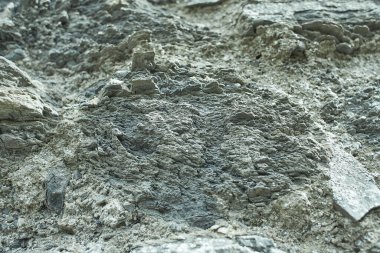 Beyaz Doğal Tuğla malzeme dokusu arka plan.