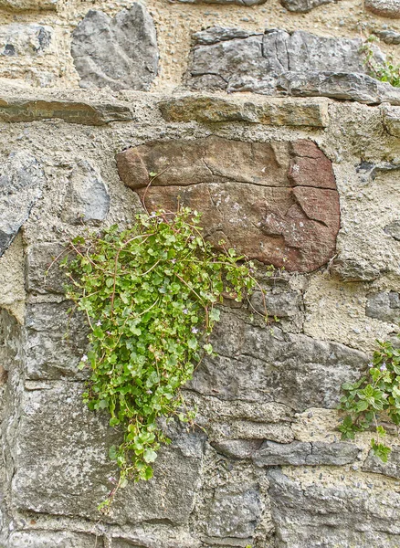White Natural Brick Stone Material Texture Background — Stock Photo, Image