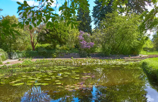 Dublin, İrlanda 'da bitki ve çiçeklerin yetiştiği Botanik Bahçesi.