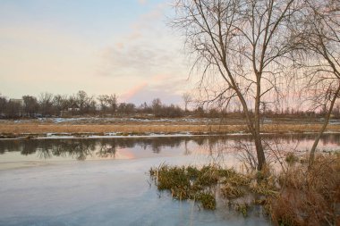 Kışın huş ağacı ve donmuş nehirle güzel doğal manzara.