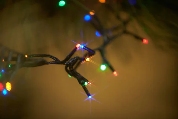Guirnaldas Coloridas Eléctricas Vacaciones Rama Pino Decoración Del Árbol Navidad — Foto de Stock