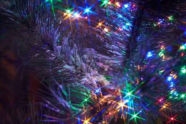Vakantie Elektrische Kleurrijke Bloemenslingers Dennentak Kerstboom Decoratie — Stockfoto