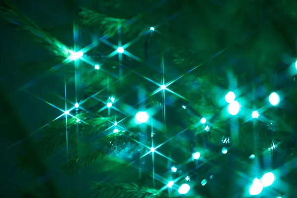 用圣诞树装饰和糖果装饰冷杉枝条上的假日电动蓝色花环 糖果手杖挂在圣诞树的树枝上 — 图库照片