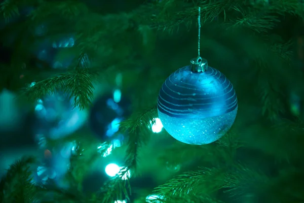 Close Van Vakantie Elektrische Blauwe Bloemenslingers Sparren Tak Met Kerstboom — Stockfoto