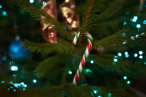 Close Van Vakantie Elektrische Blauwe Bloemenslingers Sparren Tak Met Kerstboom — Stockfoto