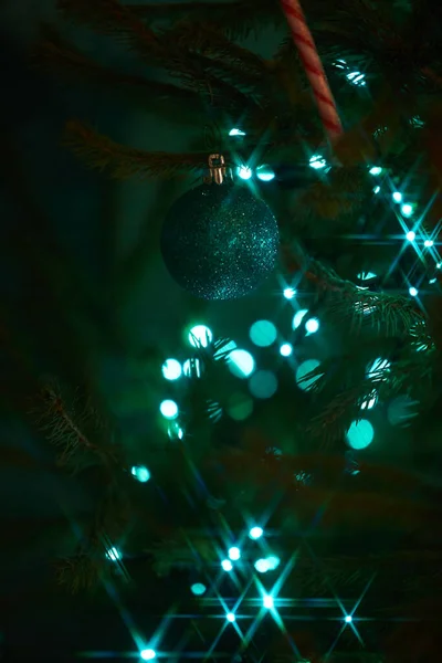 クリスマスツリーの装飾とキャンディ甘いとモミの枝に休日の電気青のガーランドの閉鎖 クリスマスツリーの枝にぶら下がっているキャンディー杖 — ストック写真