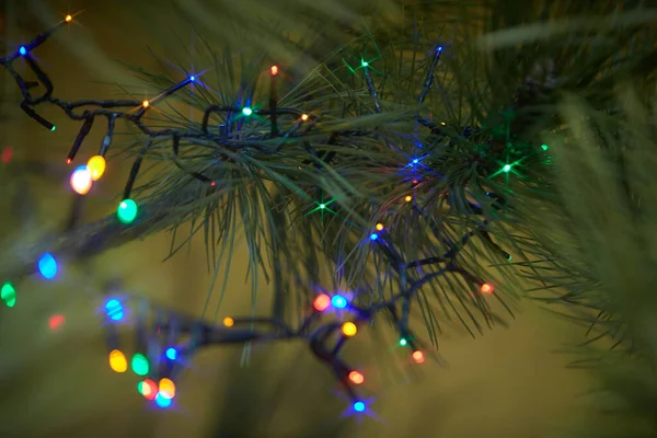 Διακοπές Ηλεκτρικά Πολύχρωμα Γιρλάντες Κλαδιά Πεύκου Χριστουγεννιάτικο Δέντρο Διακόσμηση — Φωτογραφία Αρχείου