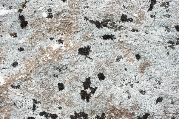 Камень Лишайнике Горах Рок Грязи — стоковое фото