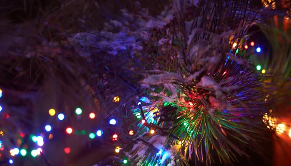 Çam Dalına Elektrik Çelenkleri Noel Ağacı Süslemesi — Stok fotoğraf
