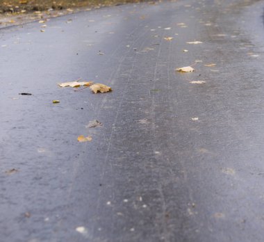 Rusya 'yı dolaşın. 2021 sonbaharında Zarayski şehrinde. Doğanın güzelliği..