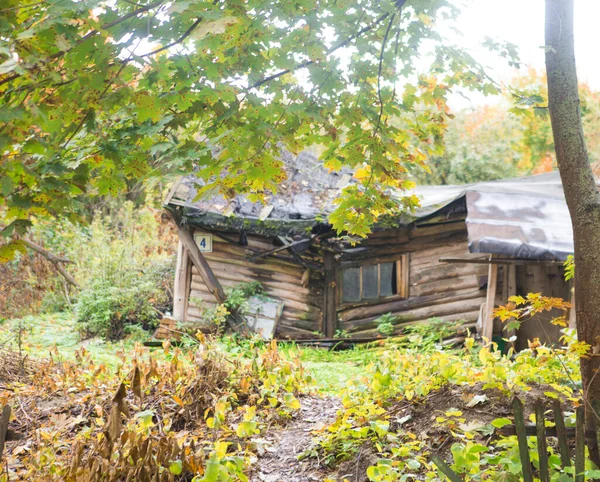 Viaje Través Rusia Otoño 2021 Ciudad Zaraysk Belleza Naturaleza — Foto de Stock