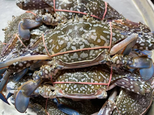 Fresh crab at the morning market
