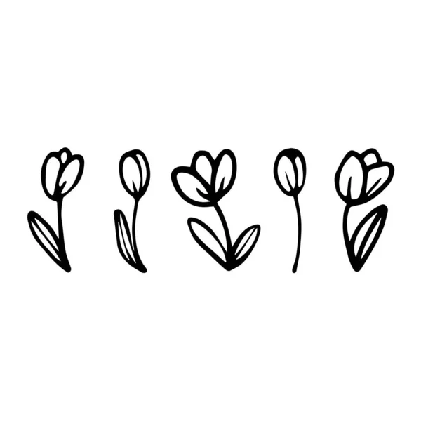 Fiori Disegnati Mano Tulipano Stile Doodle Set Botanico Gift Card — Vettoriale Stock