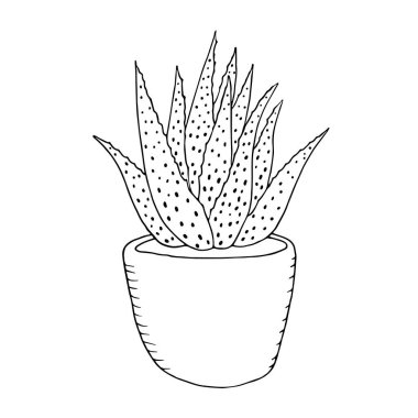 Karalama tarzında Aloe Vera. Boyama kitabı için saksıda şirin bir karikatür bitkisi. Vektör illüstrasyonu beyaz arkaplanda izole edildi