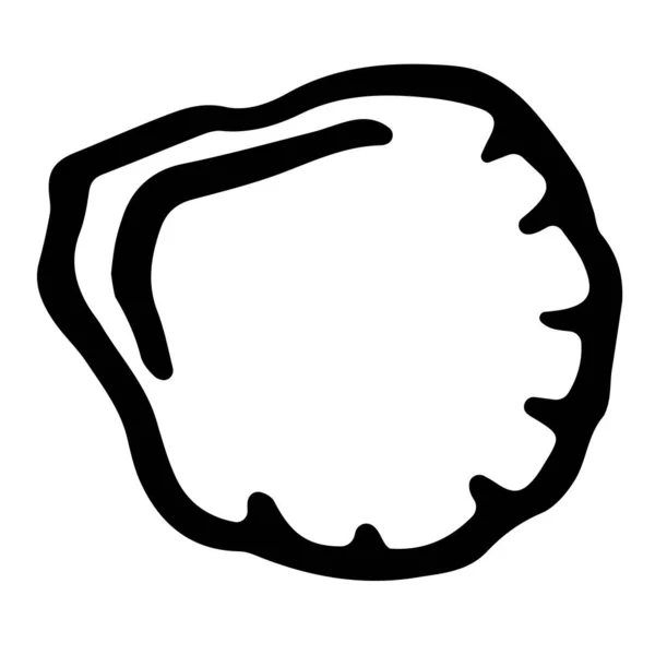 Karalama tarzında deniz kabuğu. Beyaz arkaplanda vektör çizimi izole edildi. Web tasarımı için kabuklu deniz hayvanlarının yaz çizimi.