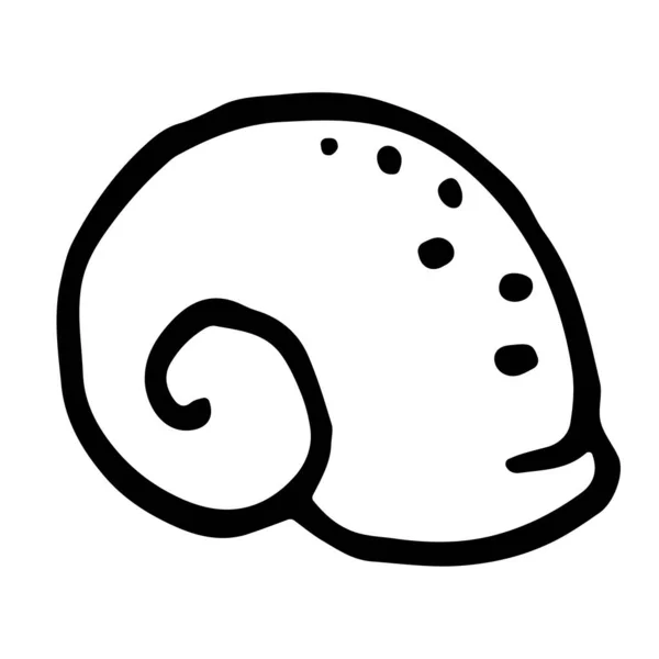 Clamストックベクター ロイヤリティフリーclamイラスト ページ 26 Depositphotos