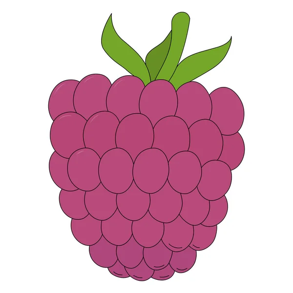 Vektor Ilustrasi Raspberry Berry Dalam Gaya Kartun Terisolasi Pada Latar - Stok Vektor