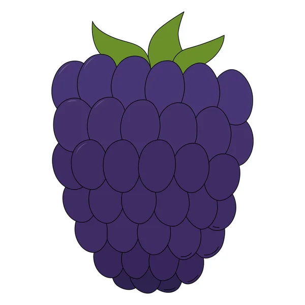 Vektor Ilustrasi Blackberry Berry Dalam Gaya Kartun Terisolasi Pada Latar - Stok Vektor