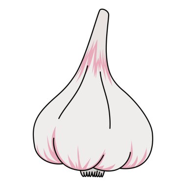 Çizgi film soğanı sarımsak. Beyaz arkaplanda vektör çizimi izole edildi. Sağlıklı organik vejetaryen yemeği. Uygun beslenme