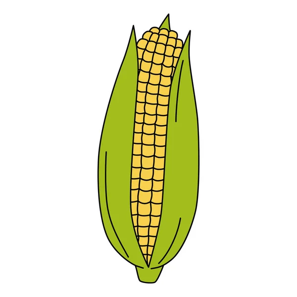 Cartoon Maize Ear Vector Illustration Mature Corn Isolated White Background — Vetor de Stock