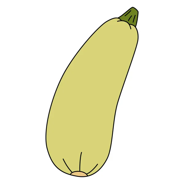 Ilustrasi Vektor Kartun Zucchini Diisolasi Pada Latar Belakang Putih Sayuran - Stok Vektor