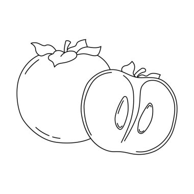 Boyama kitabı için bir hurmanın vektör çizimi. Çizgi film tarzında hurmanın yarısı. Beyaz arkaplanda izole