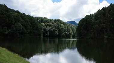 Berrak yüzey gölünün tropik manzarası yeşil ağacı ve yazın bulutlu gökyüzünü yansıtıyor..