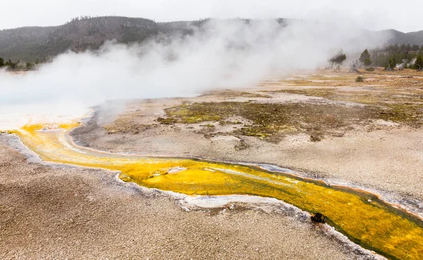 Krajobraz Małego Potoku Żółtym Kolorze Minerałów Siarki Gorącej Okolicy Dymem — Zdjęcie stockowe