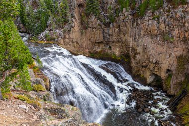 Wyoming, ABD 'deki Yellowstone Ulusal Parkı' ndaki yeşil ağaçlar ve kahverengi kayalarla çevrili derin kanyonun içindeki şelalenin hava manzarası..