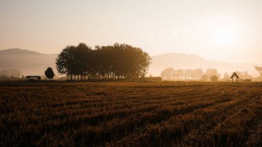 Puslu dağların üzerinden gün doğumundan kış mevsiminin açık gökyüzüne kadar ağaçlar ve çalılarla çevrili sakin bir manzara..